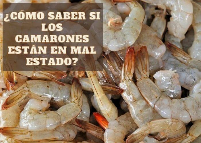 como saber si el camaron esta echado a perder