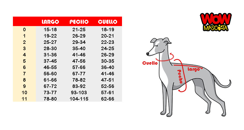 como saber la talla de mi perro